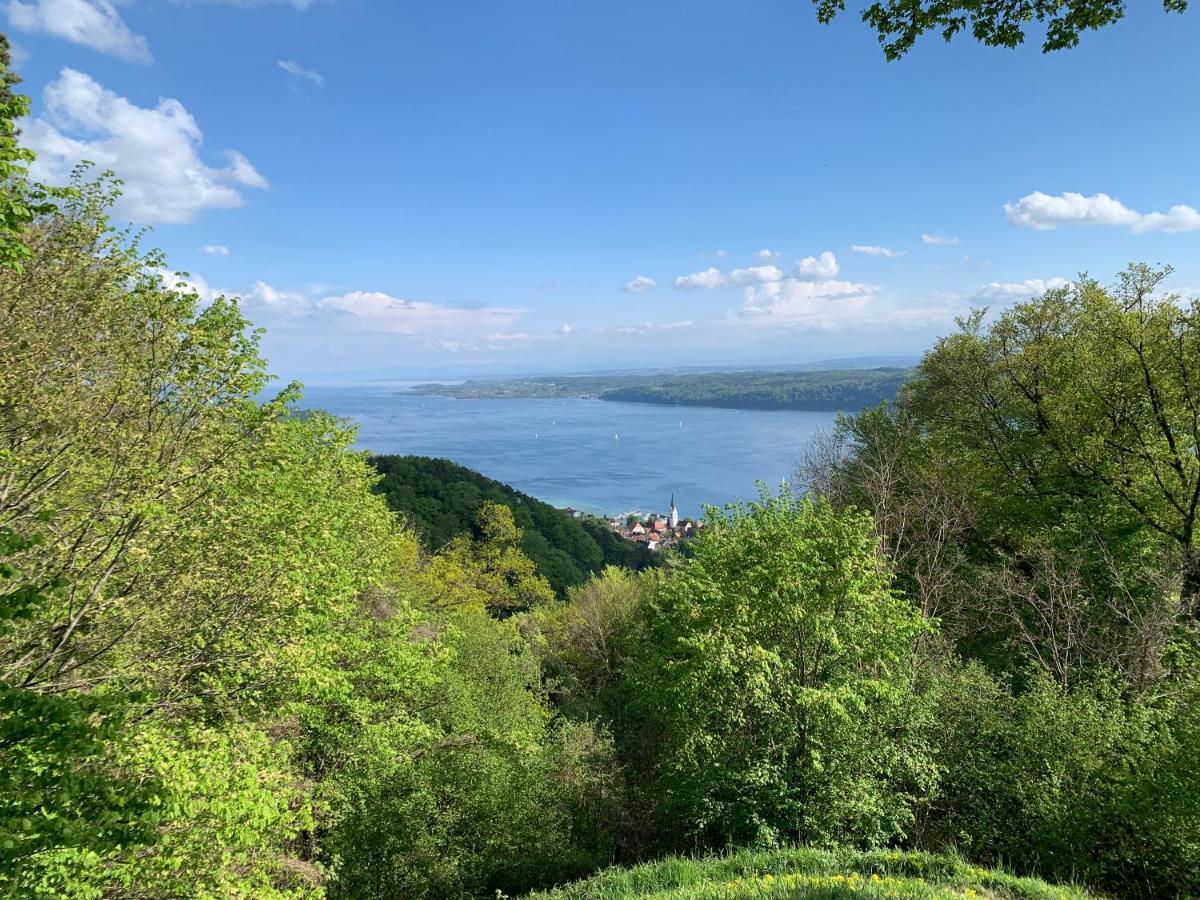 بودمان لودفيغسهافن Gasthaus Traube, Ludwigshafen, Bodensee, Seenah Gelegen المظهر الخارجي الصورة