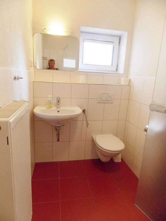 بودمان لودفيغسهافن Gasthaus Traube, Ludwigshafen, Bodensee, Seenah Gelegen المظهر الخارجي الصورة